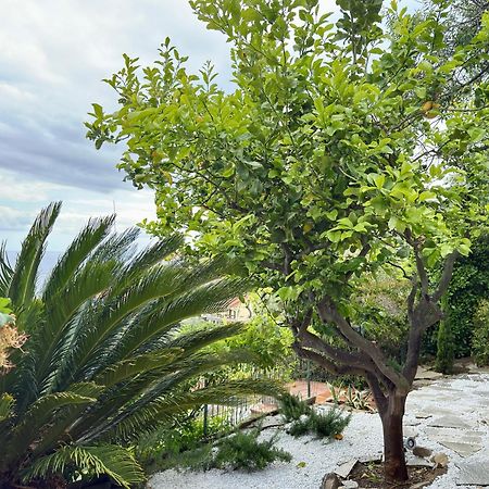 Villa Cielo Costarainera Bagian luar foto