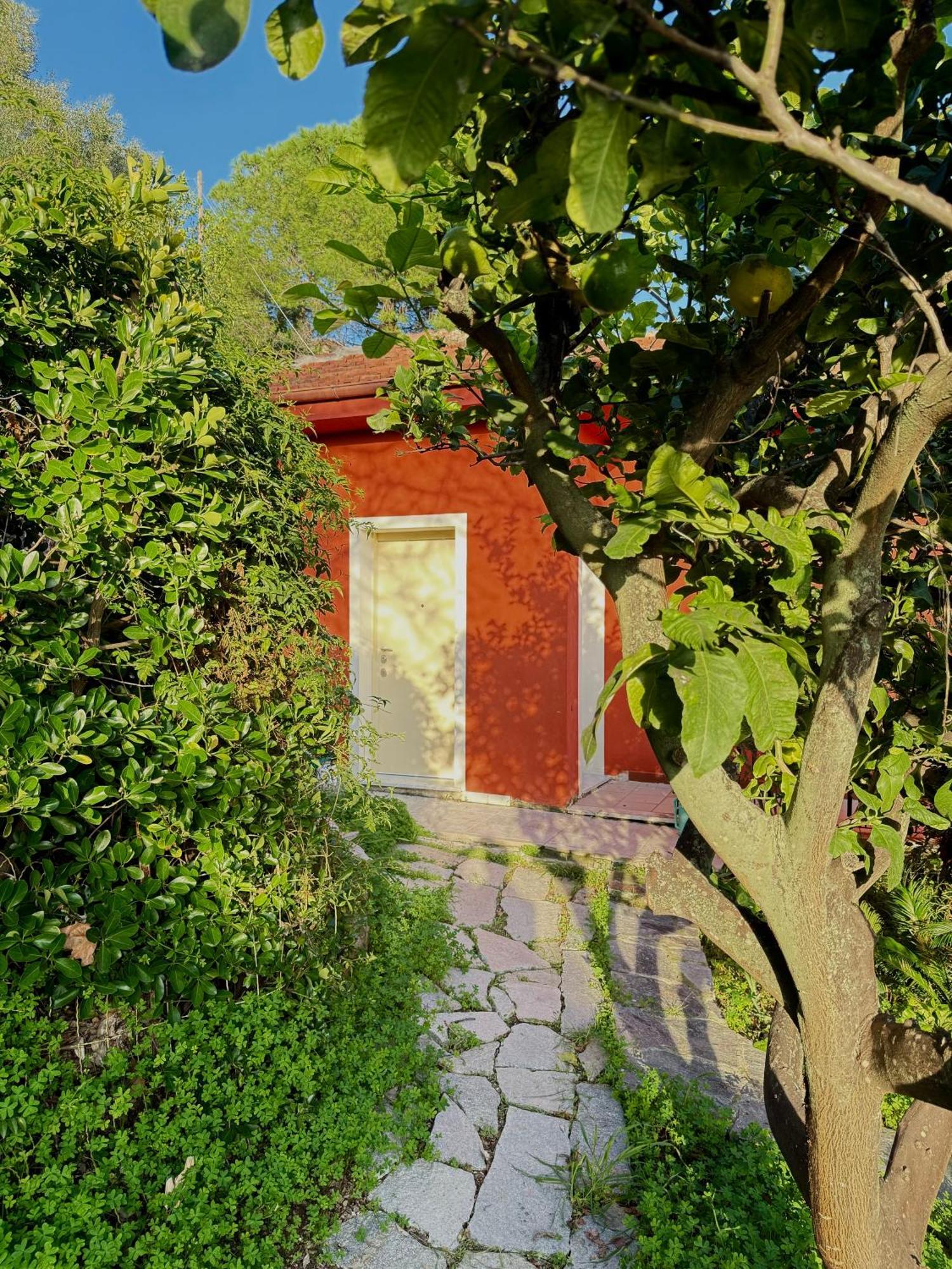 Villa Cielo Costarainera Bagian luar foto