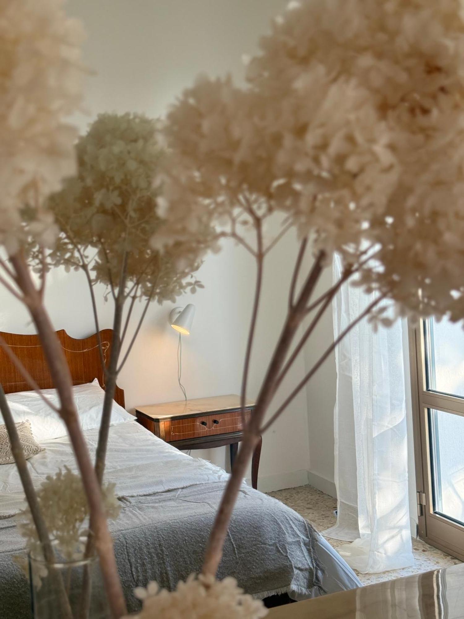 Villa Cielo Costarainera Bagian luar foto